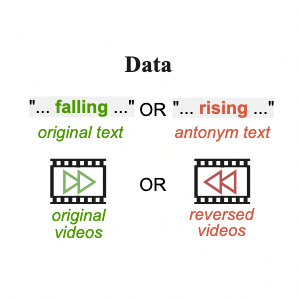 Paxion: Patching Action Knowledge in Video-Language Foundation Models